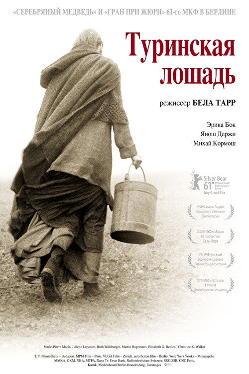 Постер: Туринская лошадь
