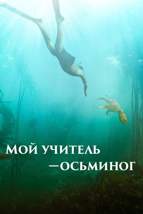 Постер: Мой учитель – осьминог