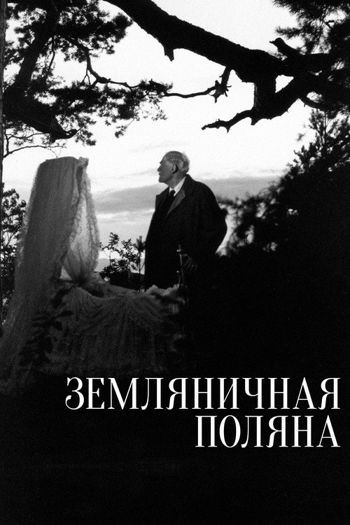 Постер: Земляничная поляна